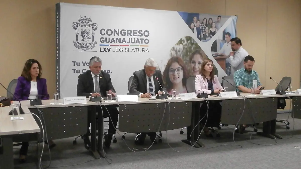 Buscan-crear-el-Instituto