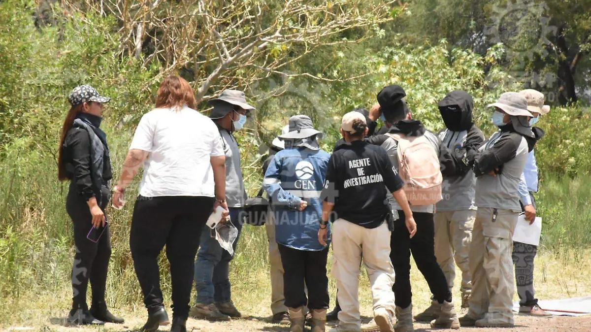 La-búsqueda-del-niño-5-okokok