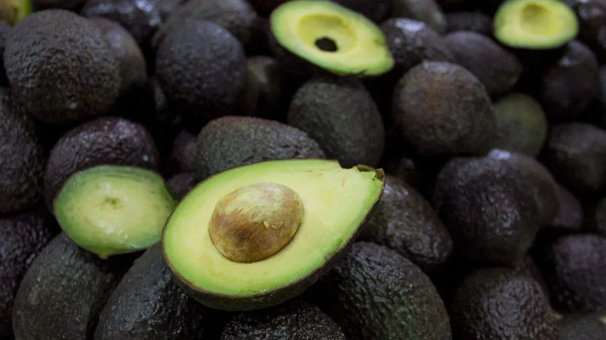 EL AGUACATE