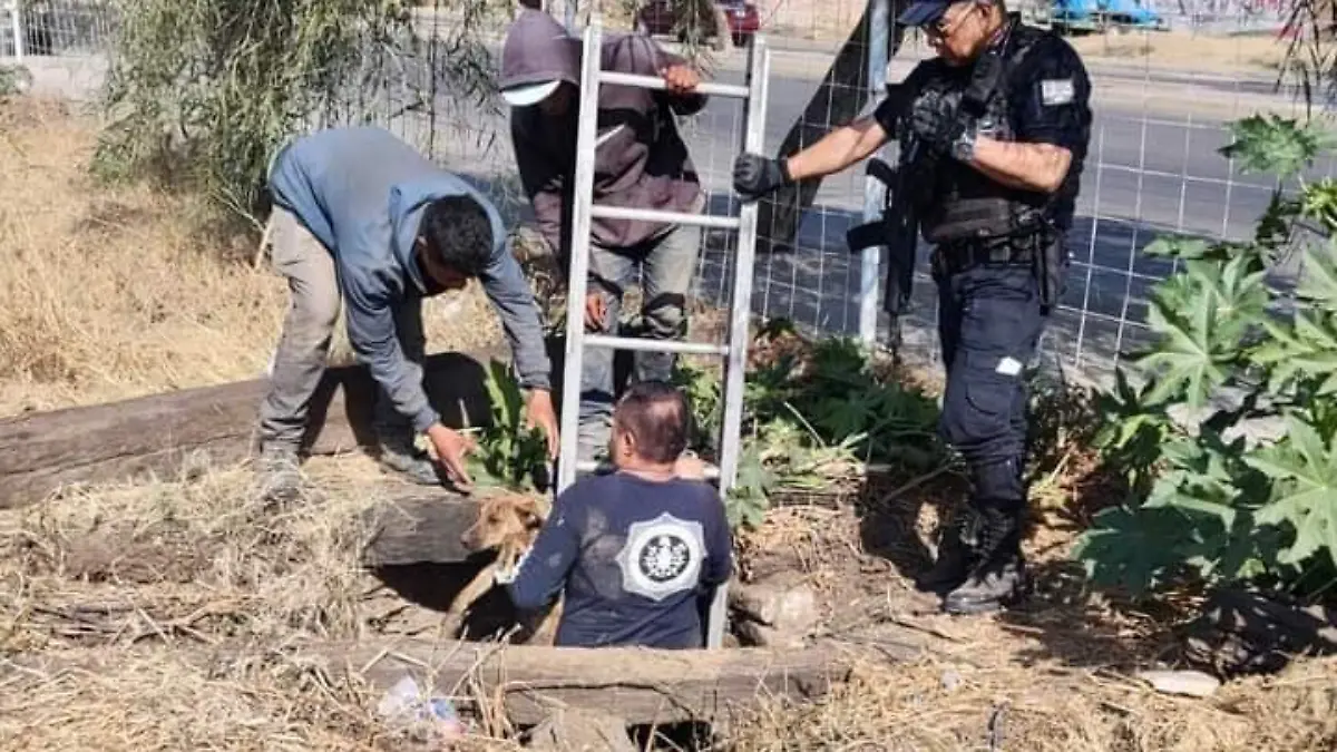 957433c8-2d68-4dc9-897a-67f798a02b20