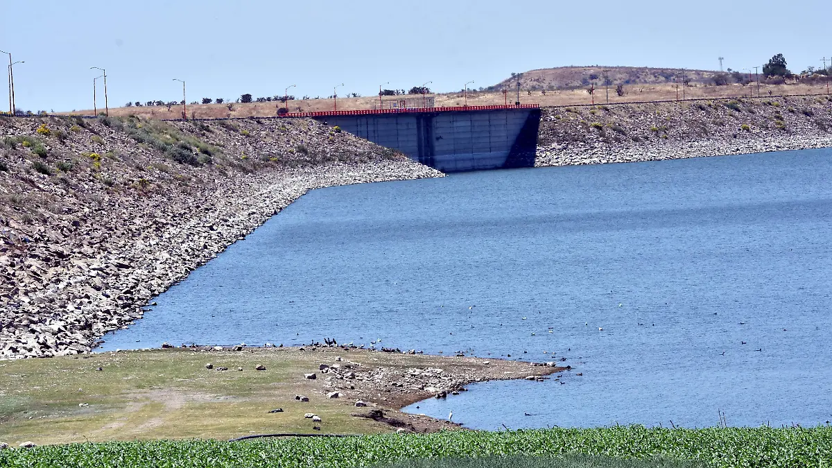 PRESA DE LA PURISIMA (5)