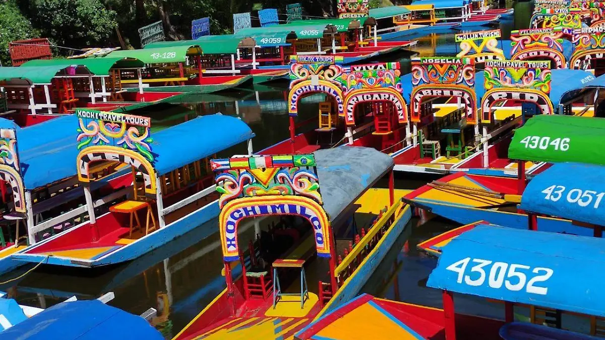 Trajineras-de-Xochimilco-estarán-en-la-Presa  (2)