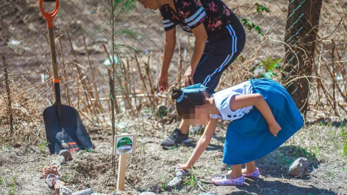 af1737ce-82c7-4685-ae68-2eb7563d6b75