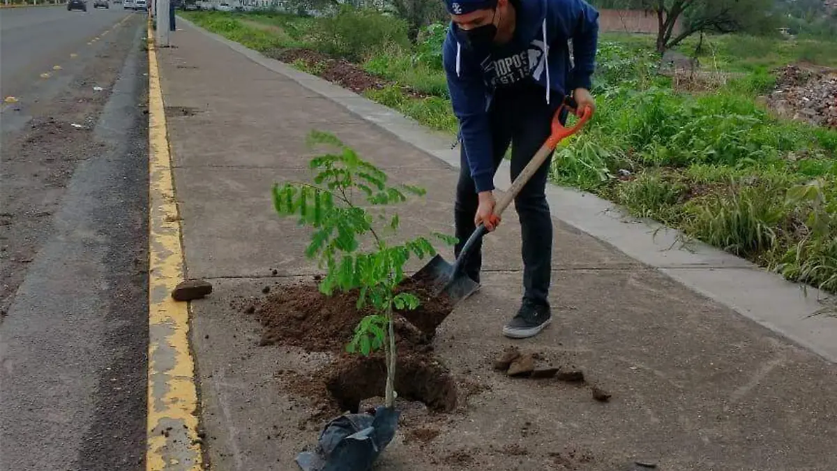 Reforestemos-Abasolo