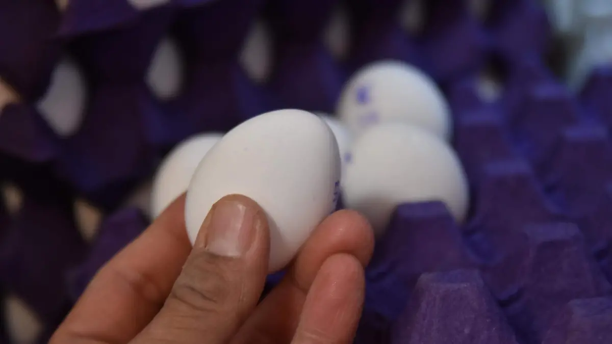 AUMENTO CANASTA BASICA Y GAS (5)