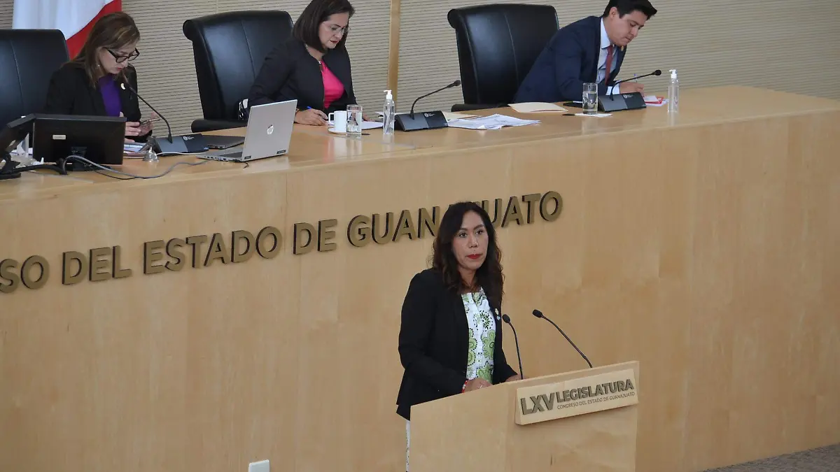Guanajuato proponen sanciones ejemplares a feminicidas-Foto Crescencio Torres (6)