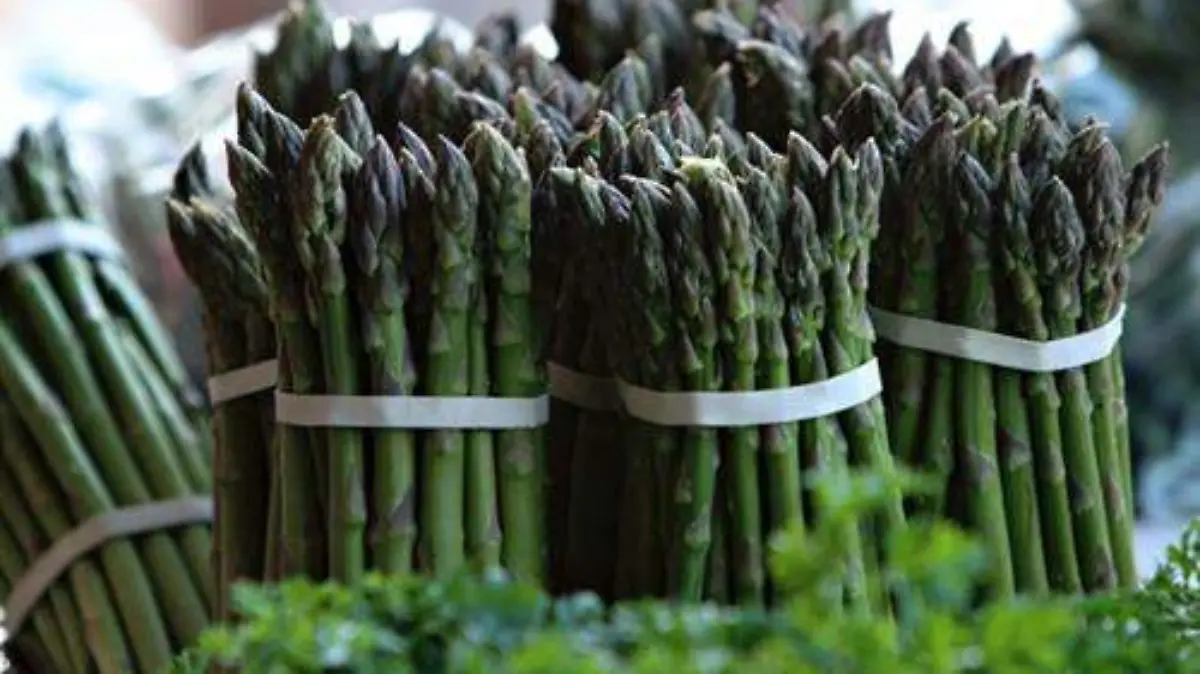 EXPORTACIÓN ALIMENTOS  (1)