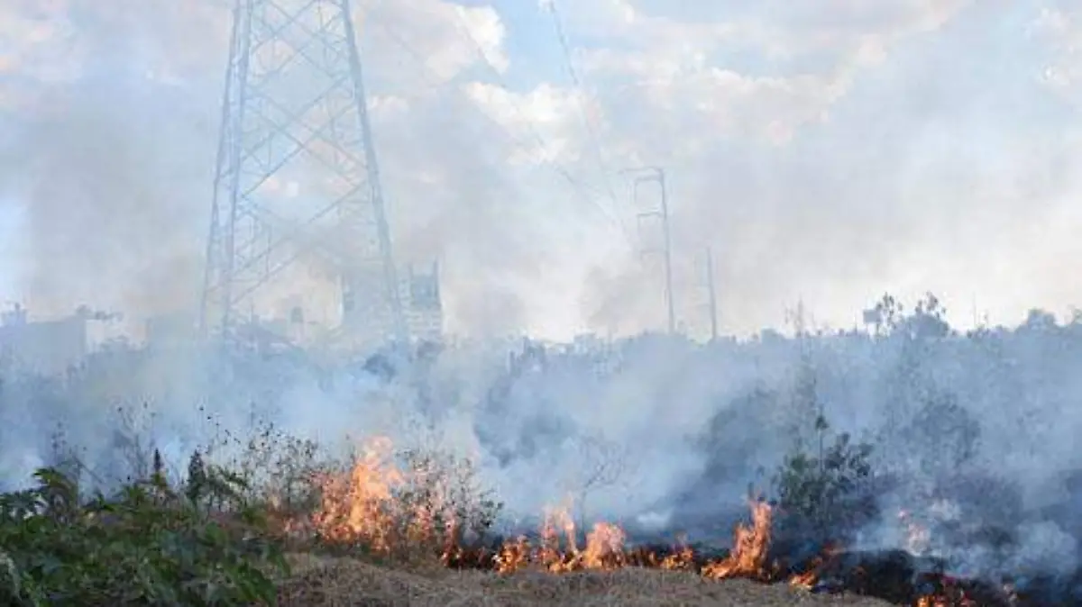 INCENDIOS FORESTALES OK