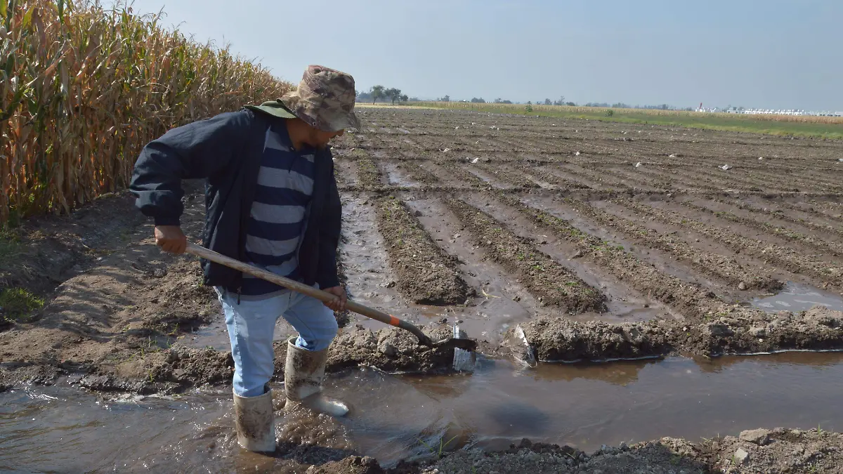 CAMPO AGUA- JESUS GTZ- EL SOL DE IRAPUATO (4)