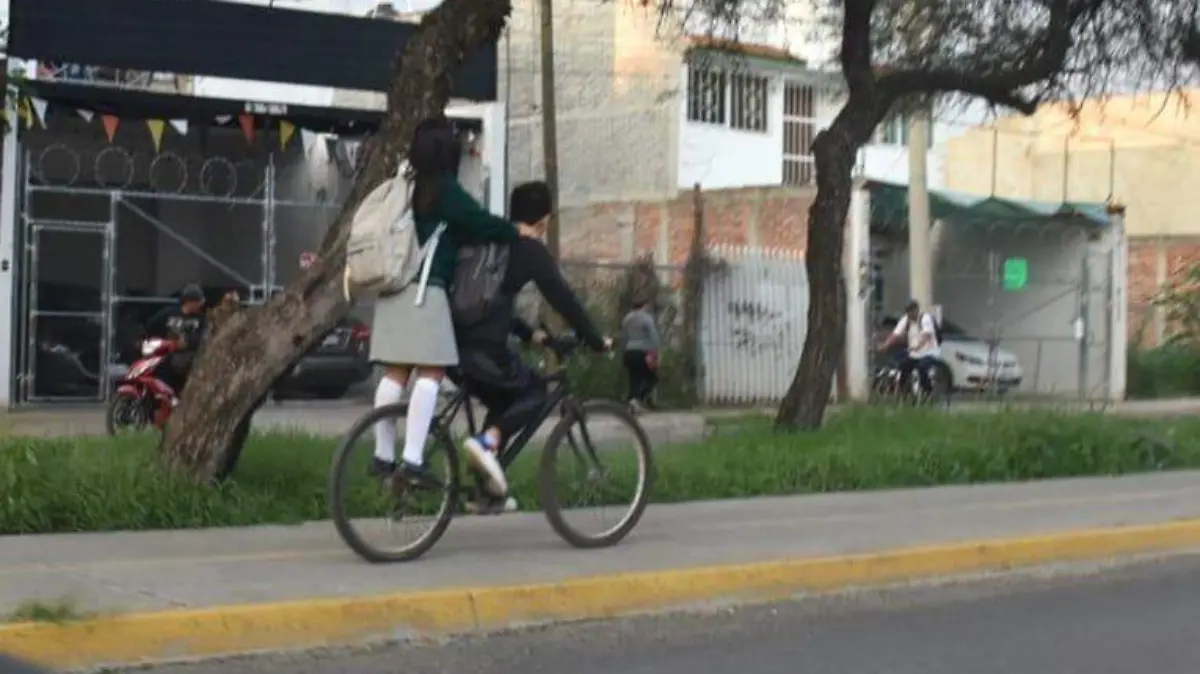 Regresan-miles-de-irapuatenses  (3)