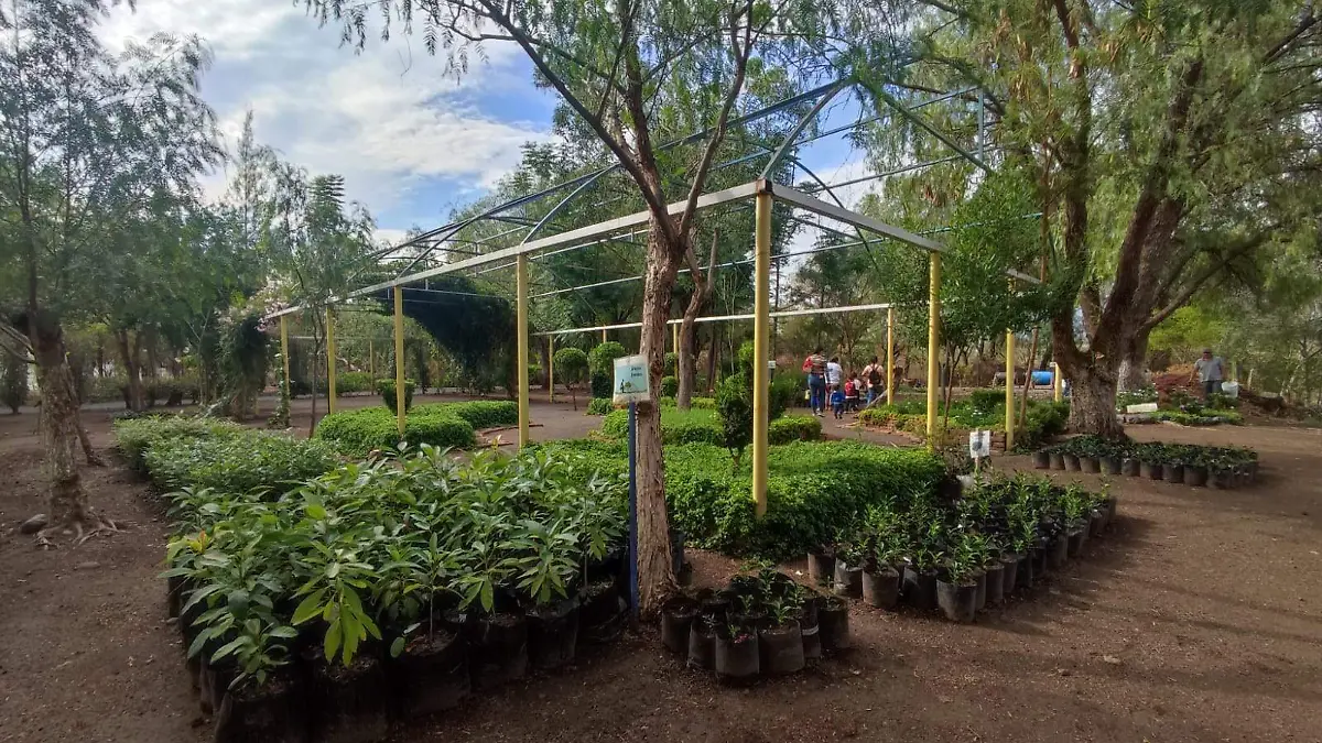 e02bbc07-b5aa-4f59-973f-aca1a18a3ef8