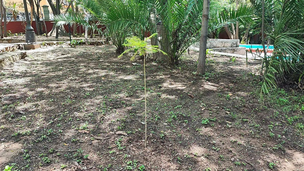 La-apertura-de-la-presa-okokok