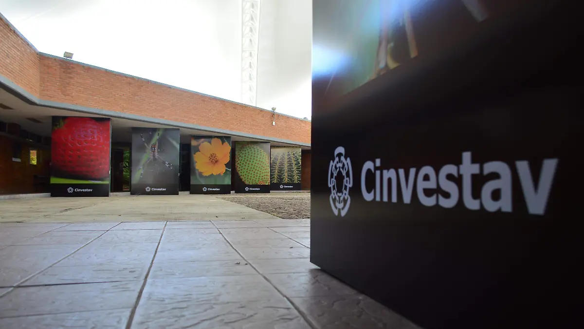 CINVESTAV (3)