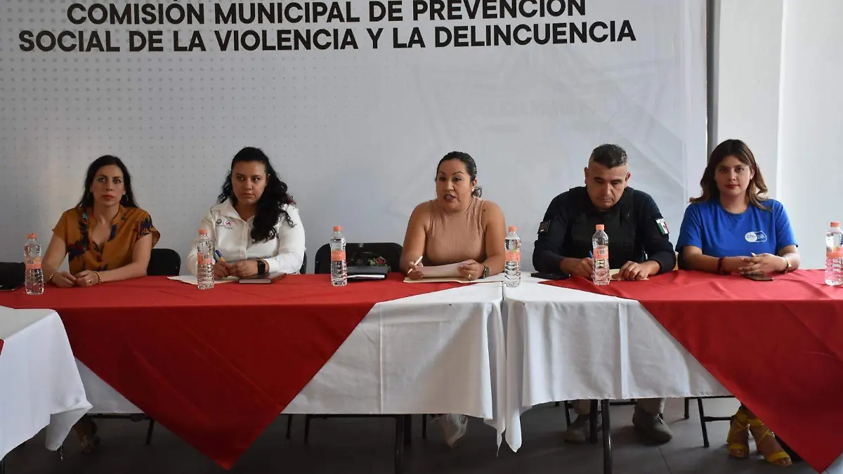 estrategia de seguridad (4)