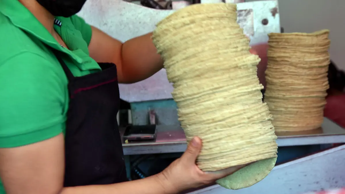 PRECIO DE LA TORTILLA (5)