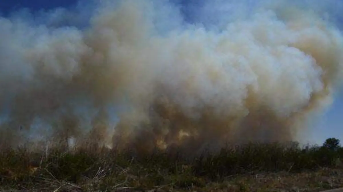 CONTAMINACIÓN (1) OK