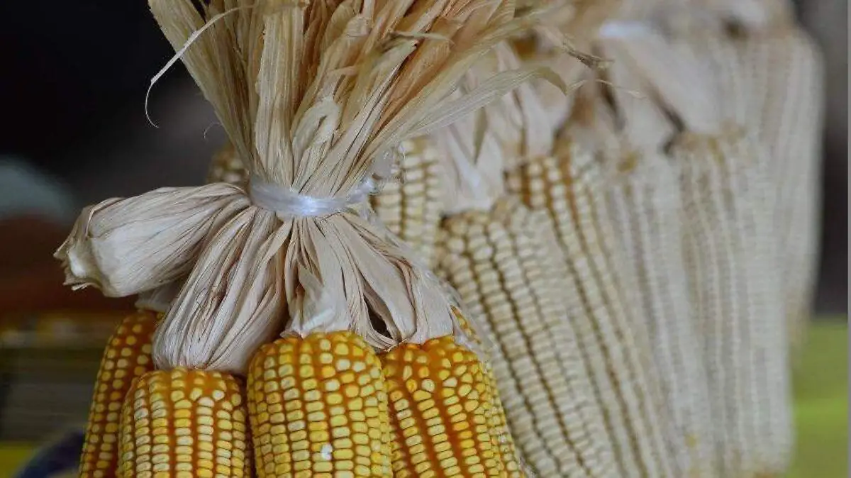 Hasta-en-un-40%-OKOKOK