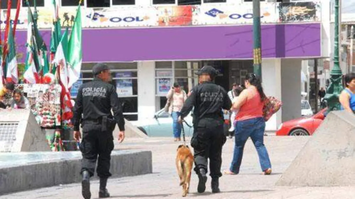 2cb90eeb-4691-45f7-9d17-0e38a2b5b44b