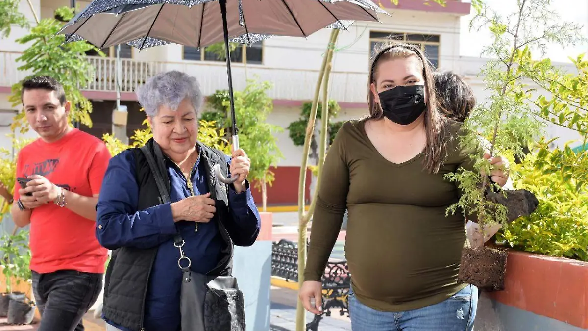 0c09fb74-48d0-425f-800e-73b4b9141cc3