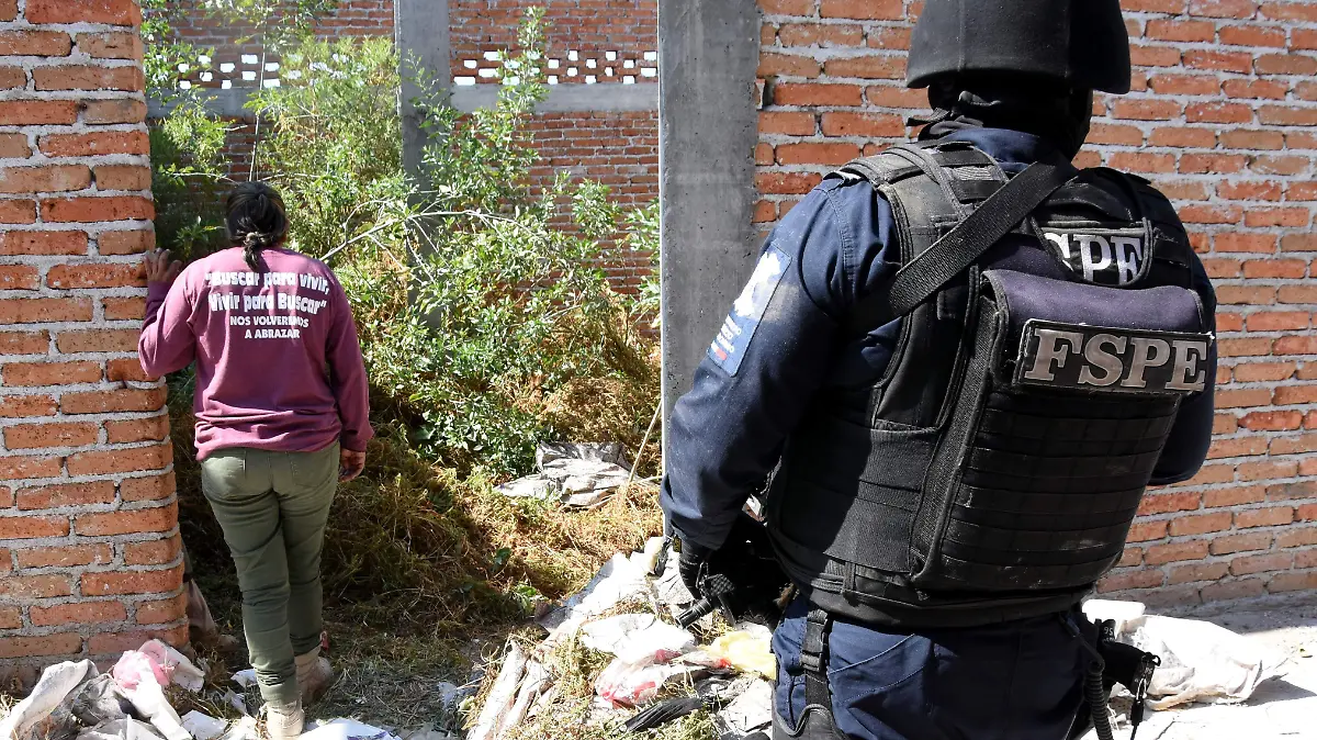 COLECTIVOS DE BUSQUEDA (4)
