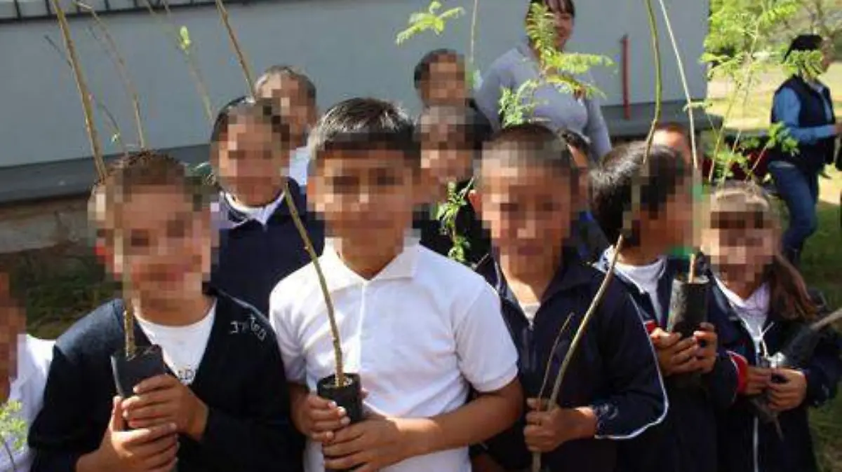 DIVERSAS ACTIVIDADES SE