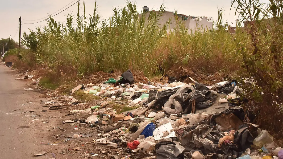 TIRADERO DE BASURA EN BALDIO (2)