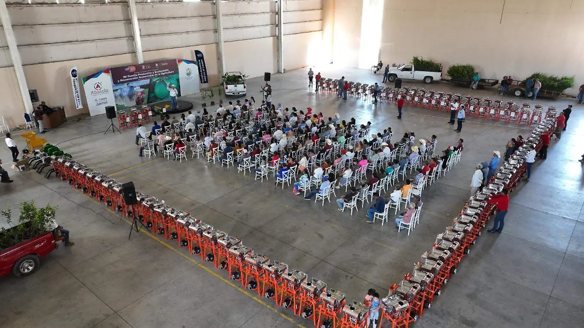 Fueron-apoyados-okokok