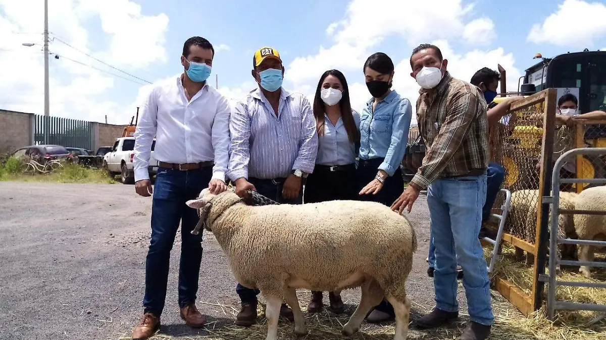 5a059d47-a1e5-425f-a71c-8784050ec74e