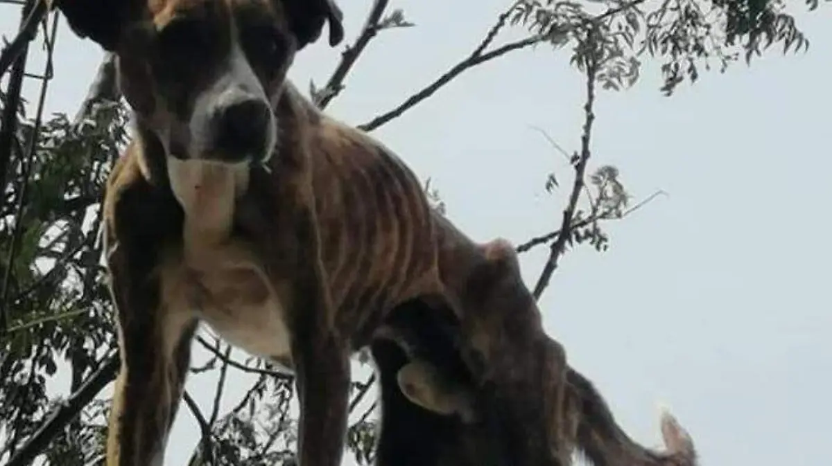 45988611-63d1-4c9e-b843-1c69bf114d1d