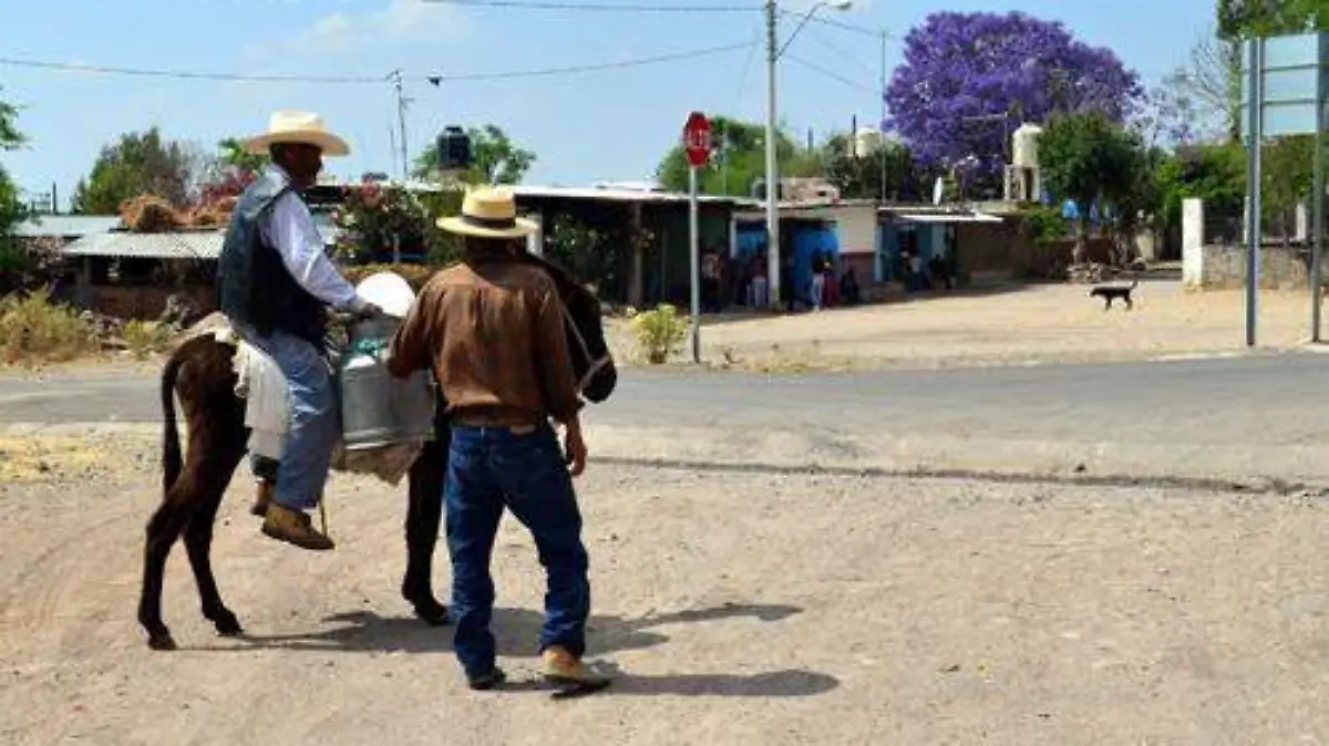 CAÑADA DE LA MUERTE SERVICIOS (3)