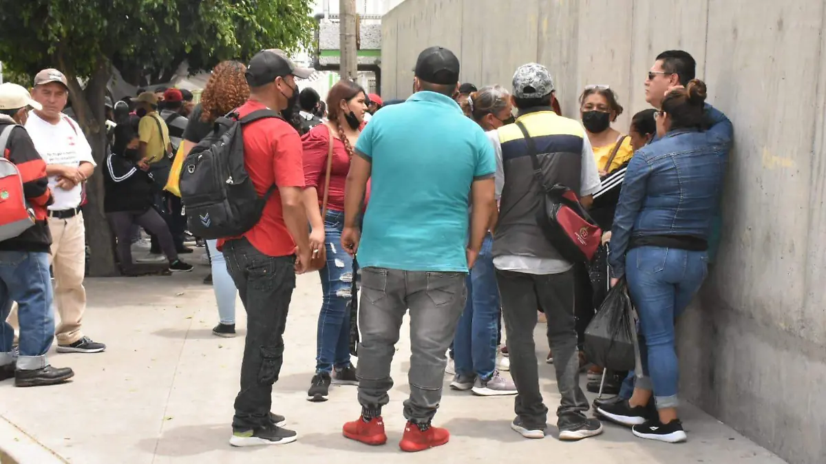 Reanudarán-de-manera-2-okokok