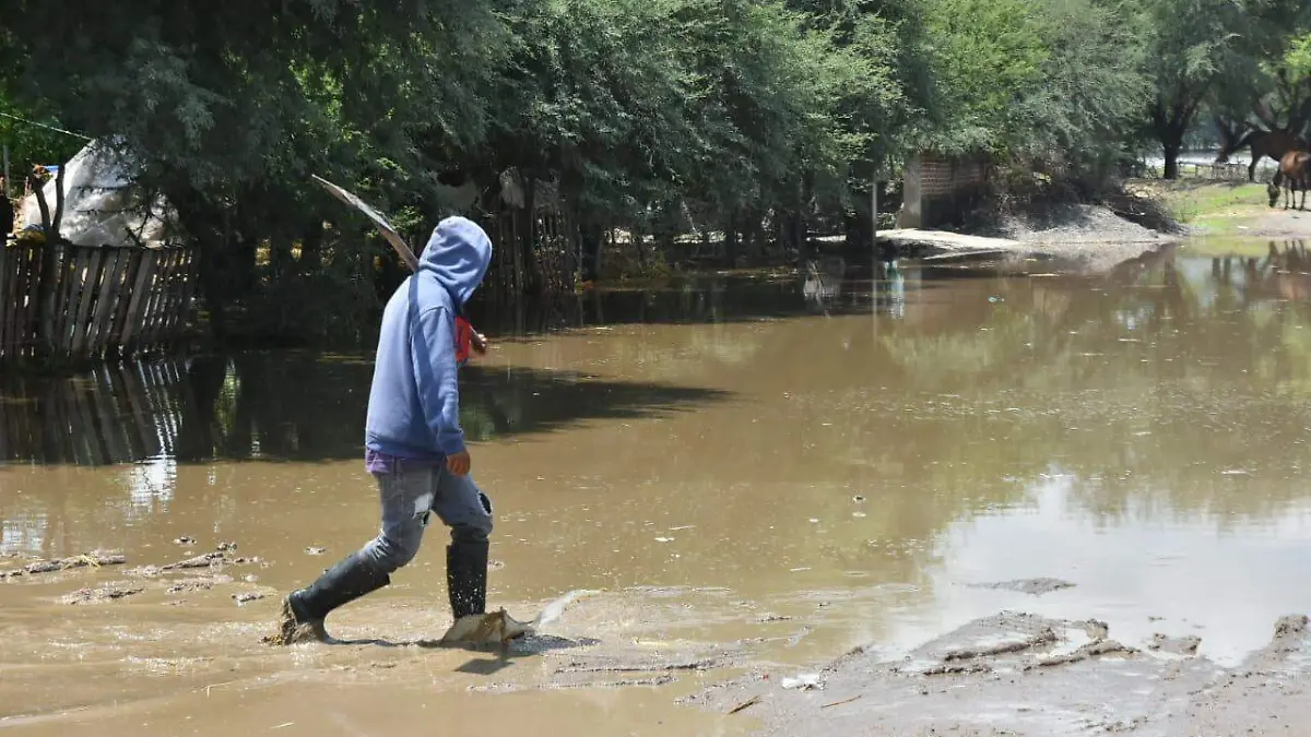 WhatsApp Image 2018-06-28 at 1.34.50 PM