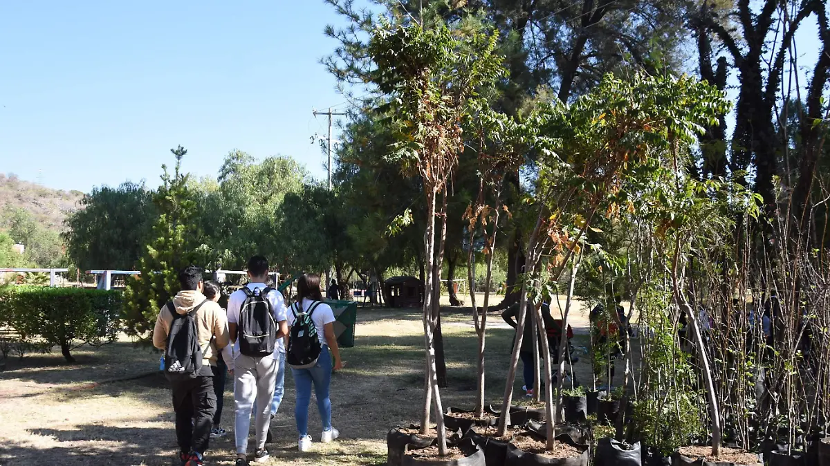 A PLANTAR ARBOLES (1)