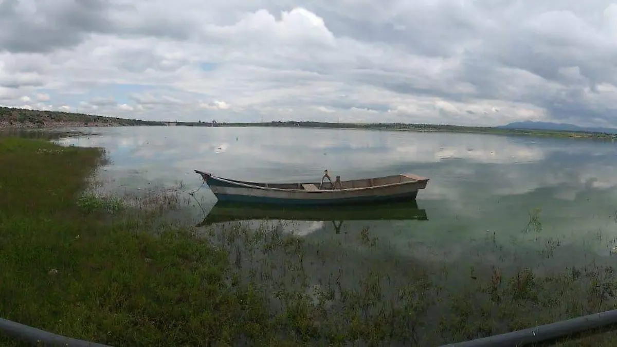 NIVEL PRESA PURISIMA (4)