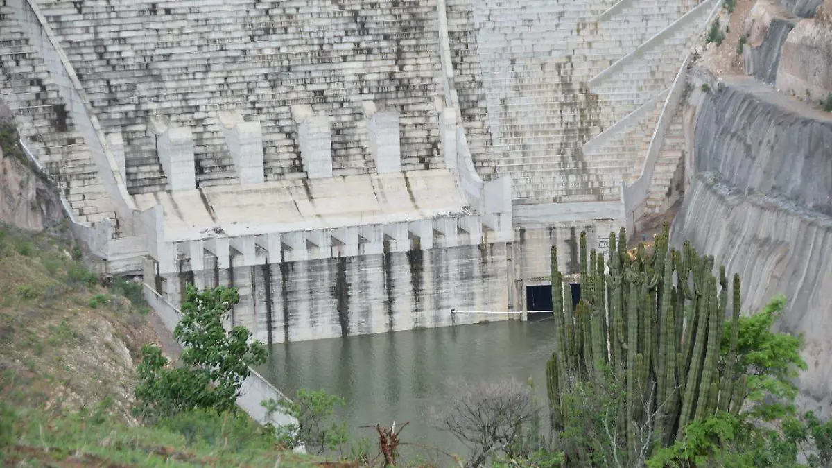 Detecta-ASF-irregularidades (3)