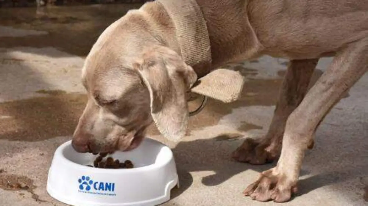 814ed93d-d0dd-4b0e-a8f3-c8e67b78eb6c