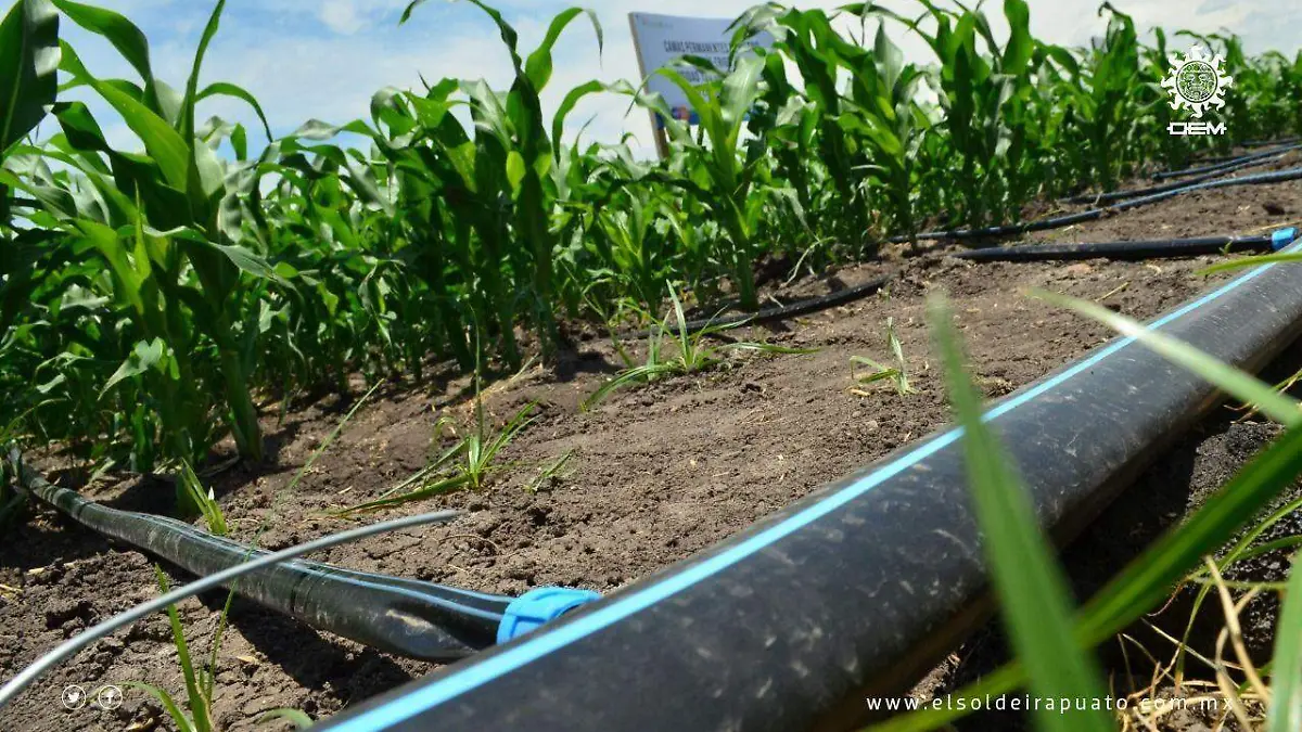 c097a13a-ab83-4ce6-b4bb-4bf764df7339