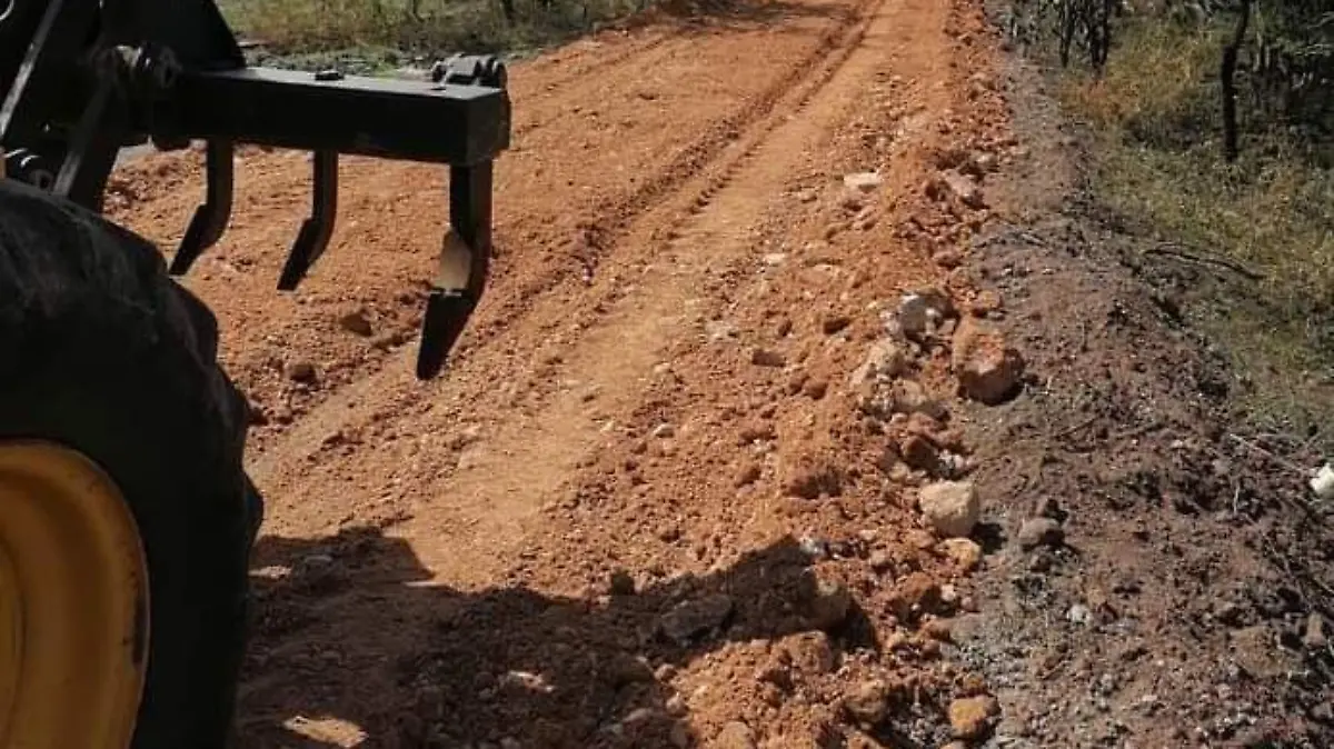 b41d81c7-933a-496f-90f2-817001627974