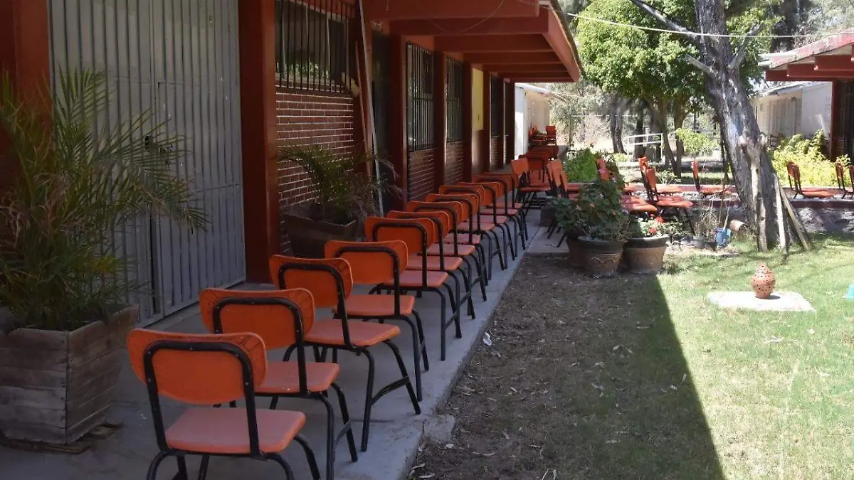 1131493a-3649-488a-91b2-1a691b929ebe