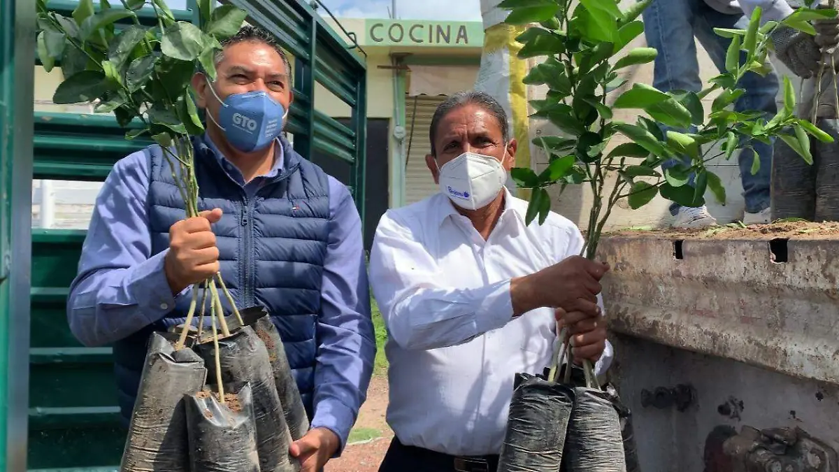 4090ee67-99e0-4383-87d3-d33381481b33