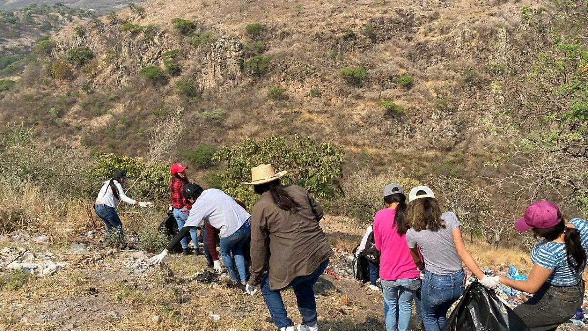 245ba0b7-12d6-4393-8fda-8da8a0700712