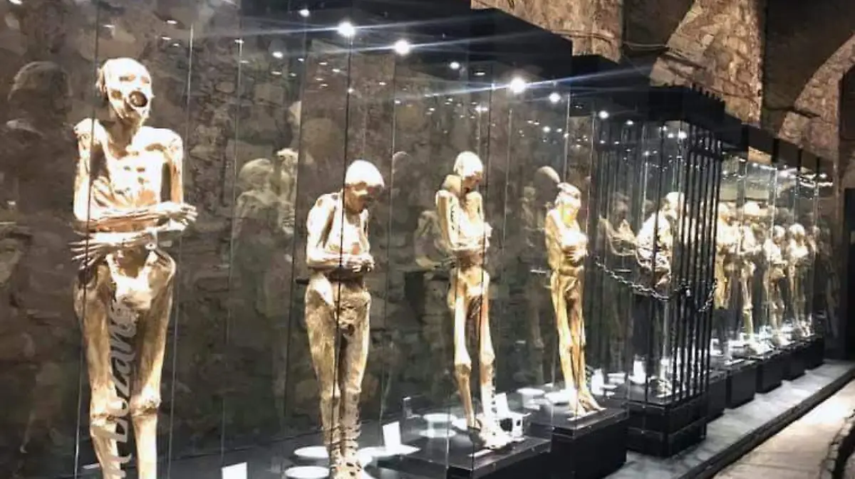 7de54e31-32e7-449c-837b-c7c64d4162b8