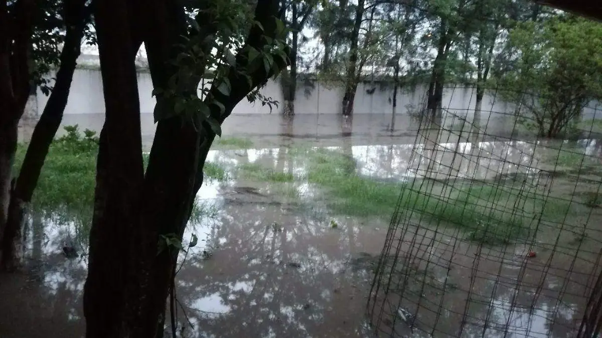 WhatsApp Image 2018-06-28 at 10.15.42 AM