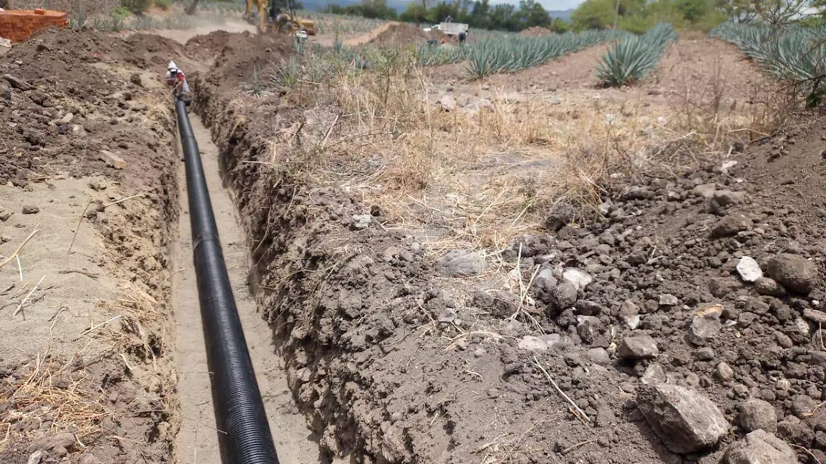 7dd29355-af70-44f4-ac2b-ca0b2542b6b3