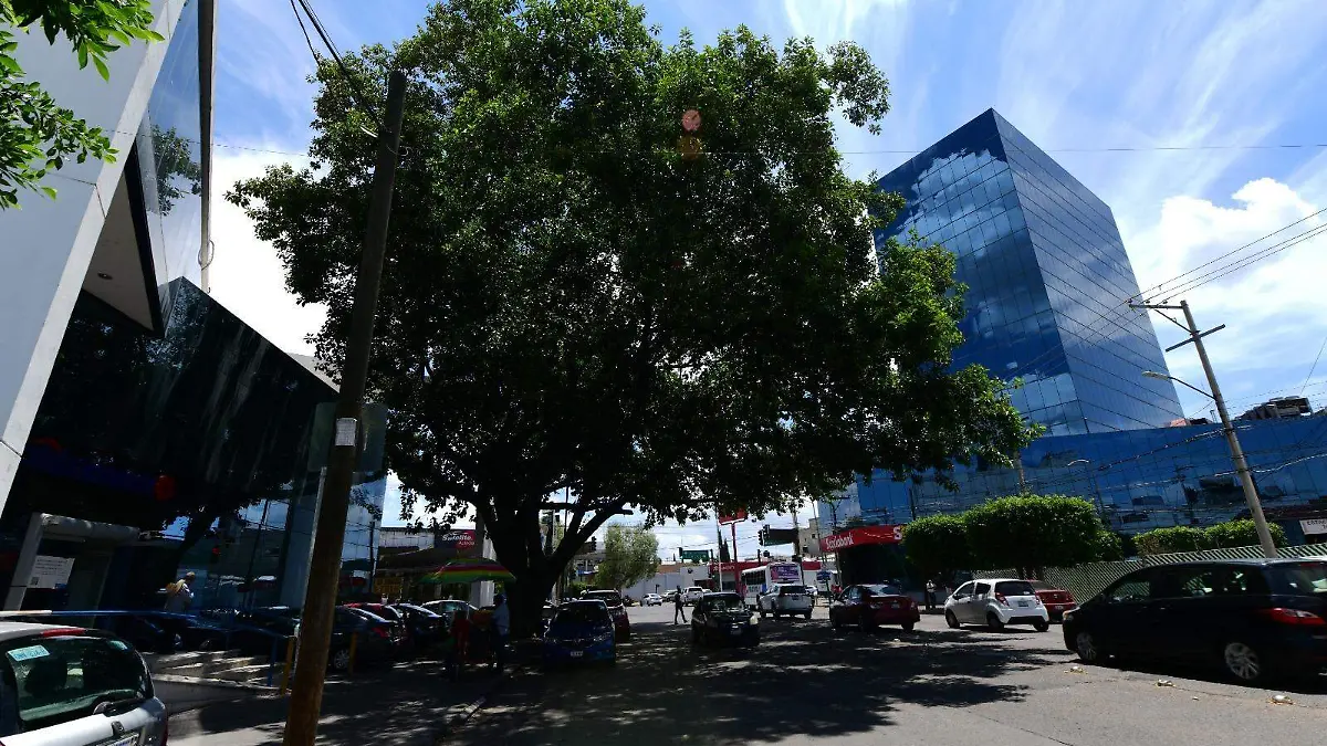 a4b3d60d-d5cc-4326-8107-69d6778b4646