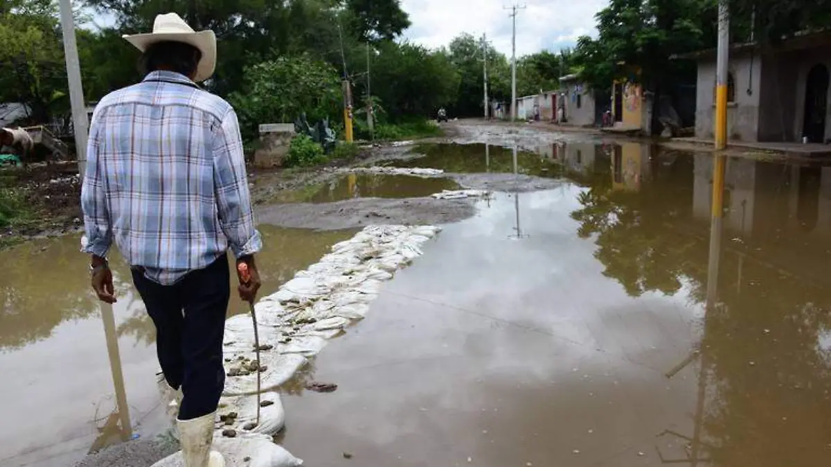 Expectantes-ciudadanos