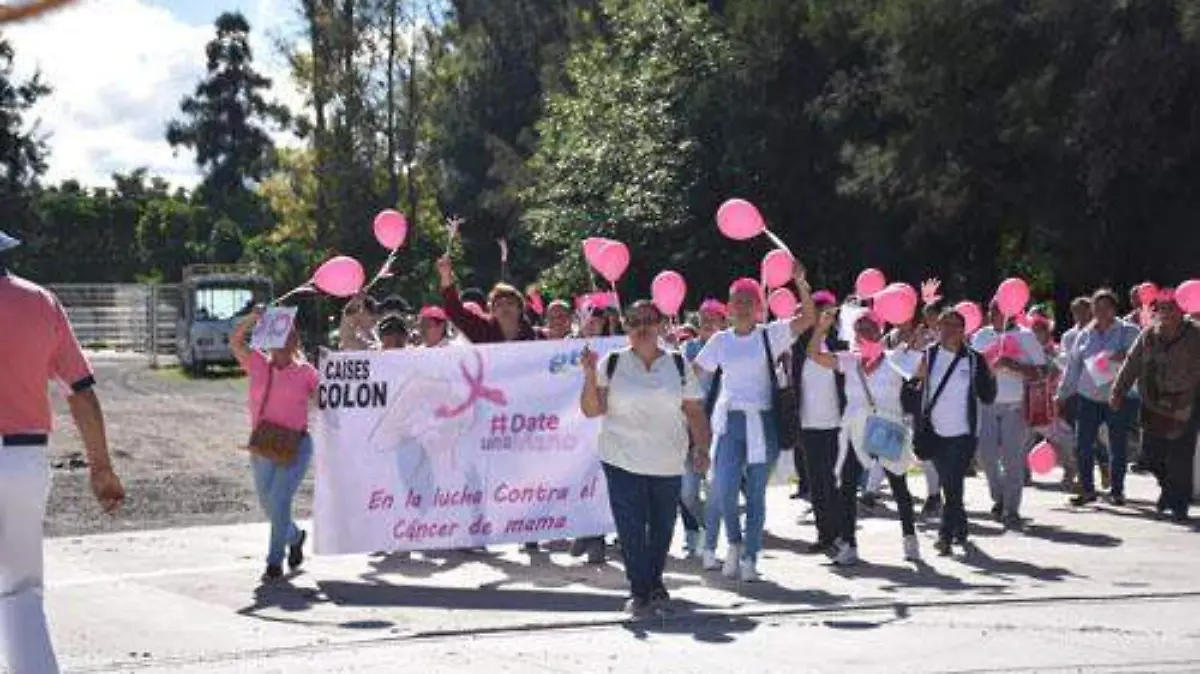 cancer de mama (1) OK