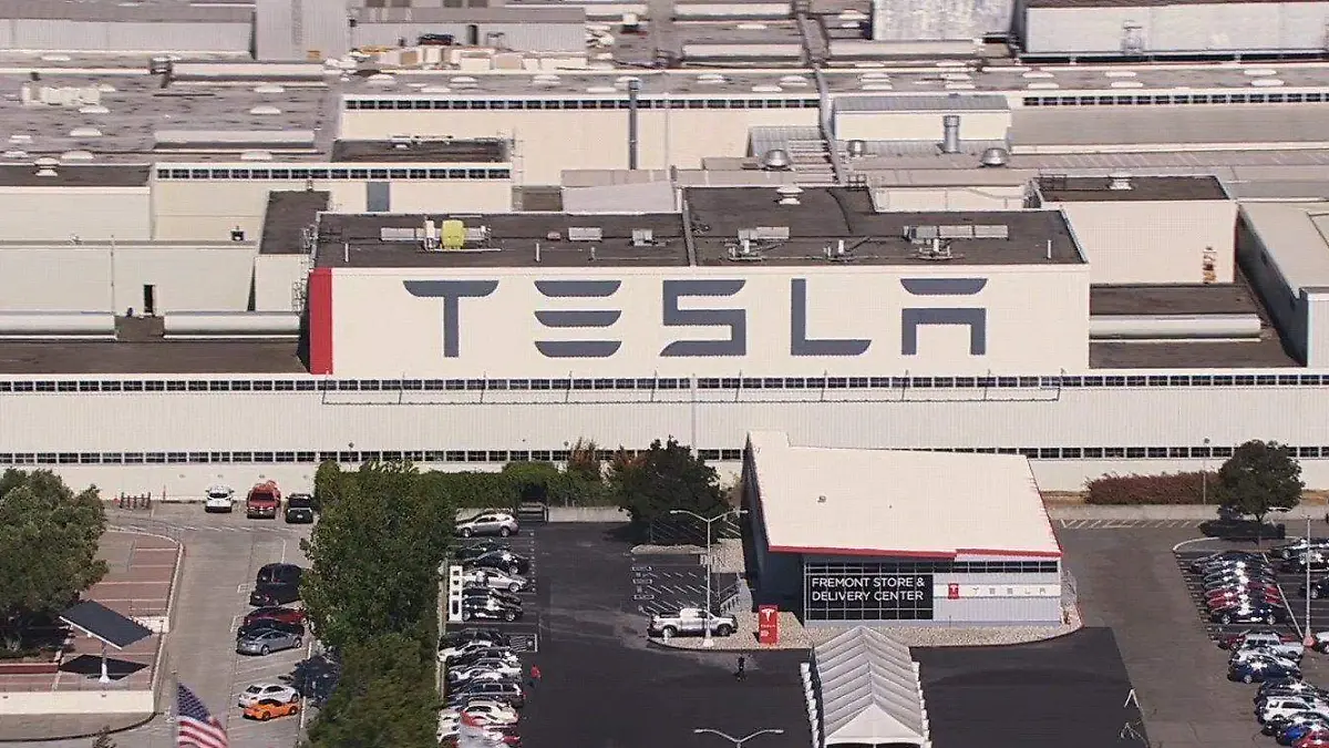 TESLA (2)