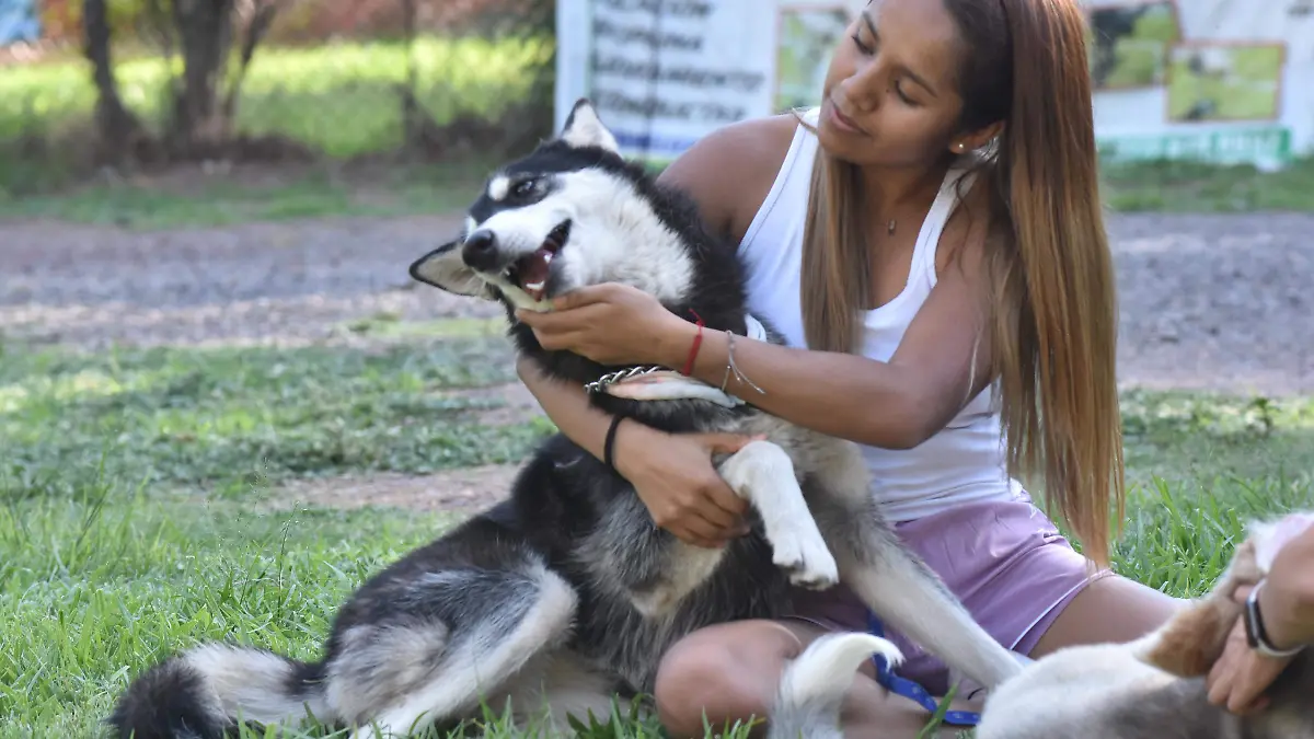 Deben-propietarios-dar