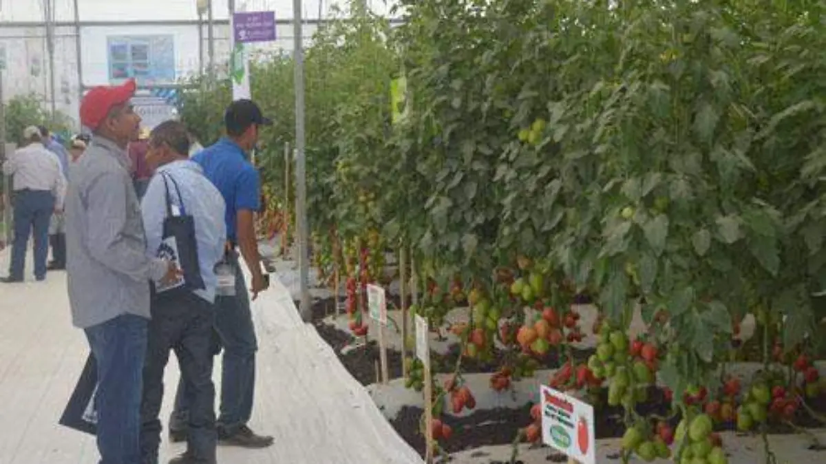 EXPO AGRO (2) OK
